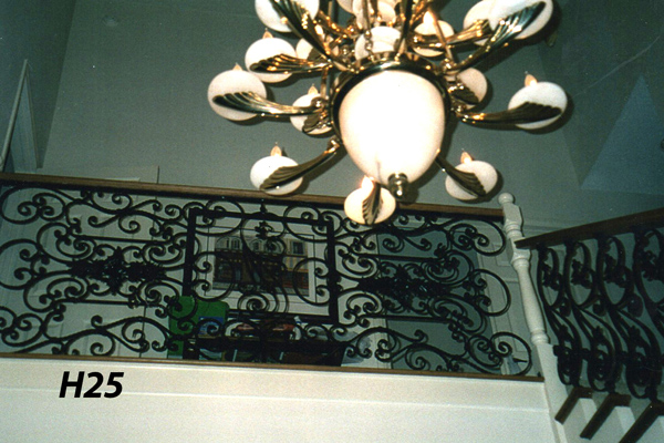 H25